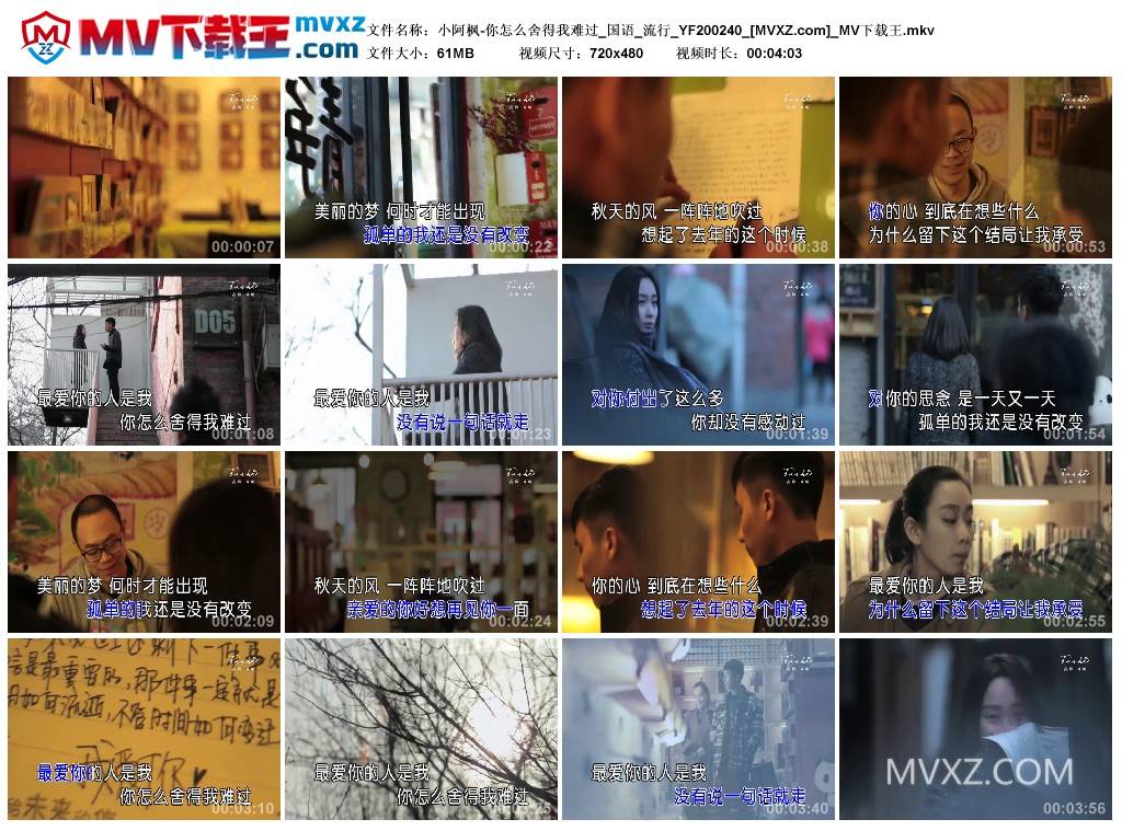 小阿枫-你怎么舍得我难过_国语_流行_YF200240